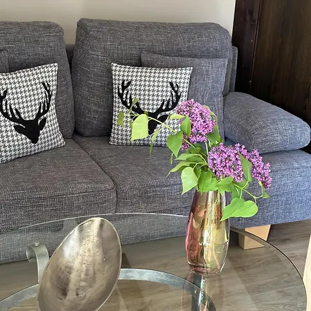 Bed & Breakfast Gaestehaus Wiesegg 3*